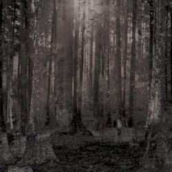 Bosque