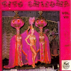 Vol. VII (Volumen 2)