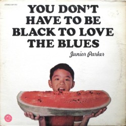 You Don't Have to Be Black to Love the Blues