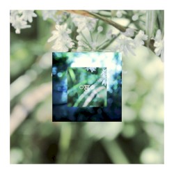 Moss's Lilypad