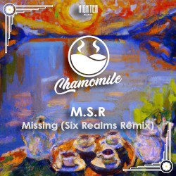Missing (Six Realms remix)