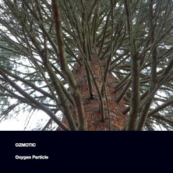 Oxygen Particle