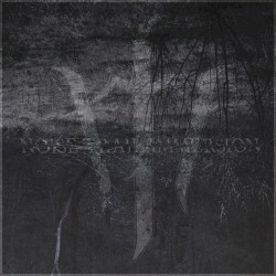 Noise Trail Immersion