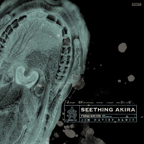Frequencies (Jim Davies Remix)
