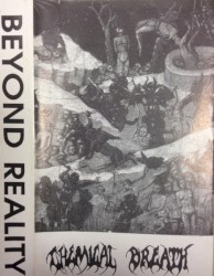 Beyond Reality