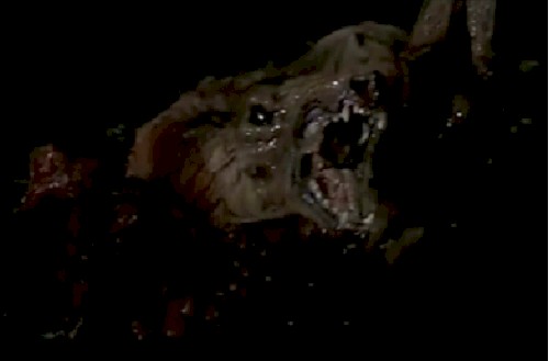 Monster