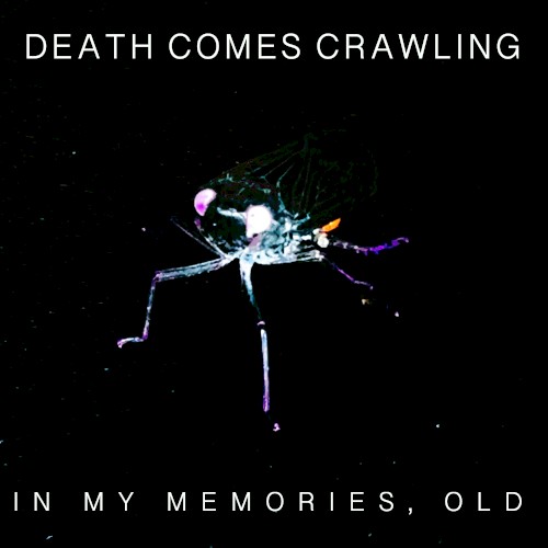 In My Memories, Old