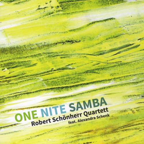 One Nite Samba
