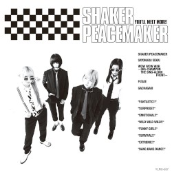 SHAKER PEACEMAKER