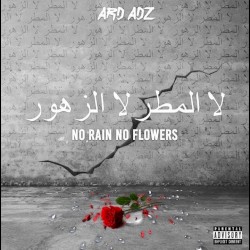 No Rain No Flowers