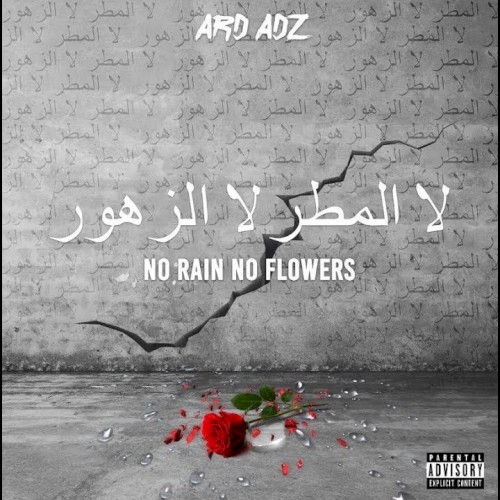 No Rain No Flowers