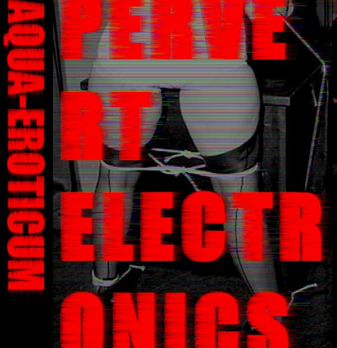 Pervert Electronics