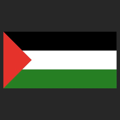 Free Palestine - Comp I