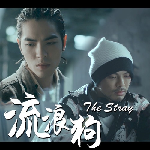 The Stray