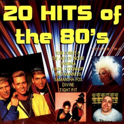 20 Hits of the 80’s, Volume 2