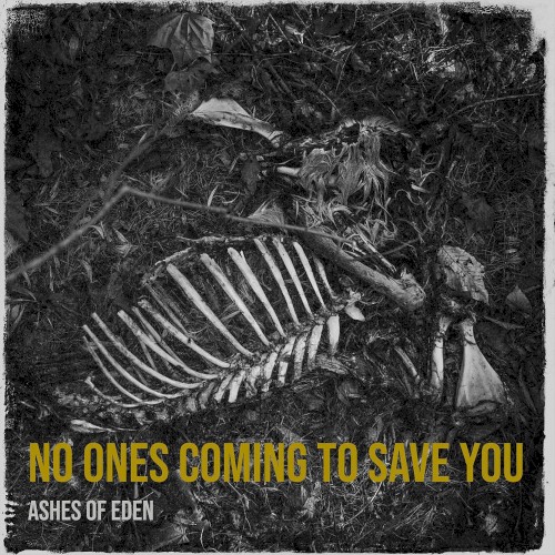 No Ones Coming to Save You