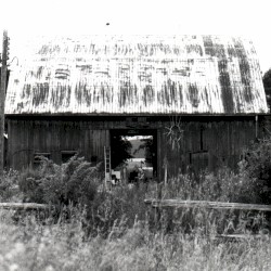 barn levitate