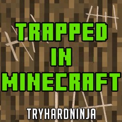 Trapped in Minecraft