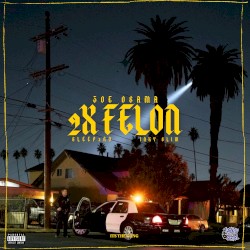 2X Felon