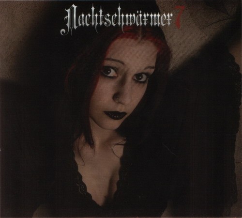 Nachtschwärmer 7