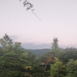 ambient kyoto 0008