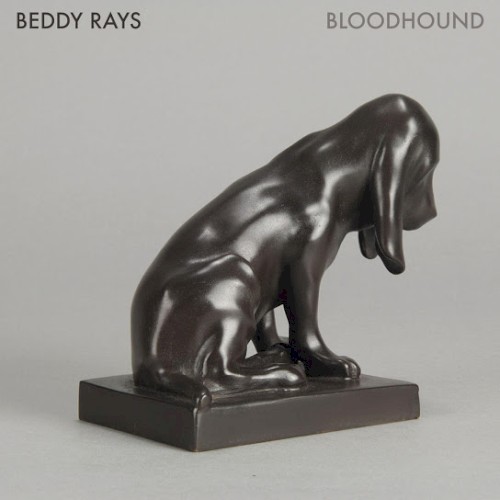 Bloodhound