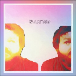 Wastoid