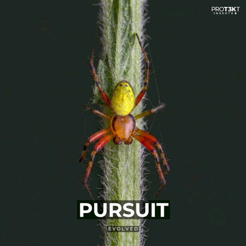 Pursuit