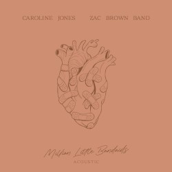 Million Little Bandaids (acoustic version)
