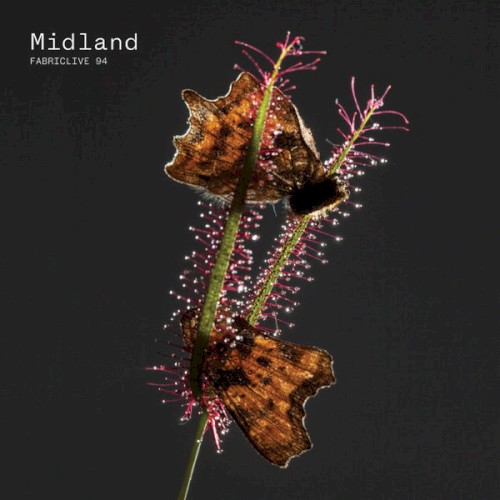 FabricLive 94: Midland