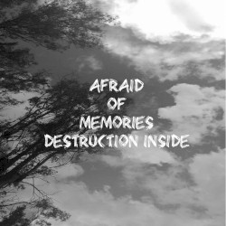Destruction Inside