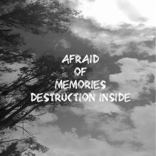Destruction Inside