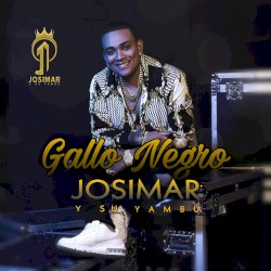Gallo negro