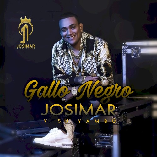 Gallo negro