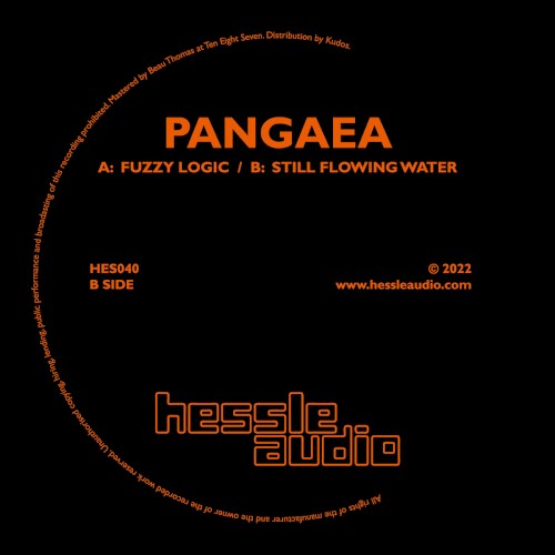 Fuzzy Logic / Still Flowing Water