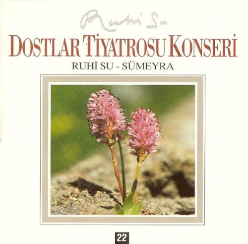 Dostlar Tiyatrosu Konseri