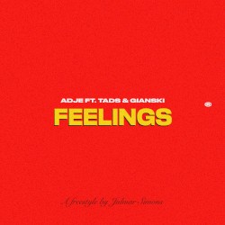 feelings