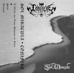 Conifère / Sol Miracula