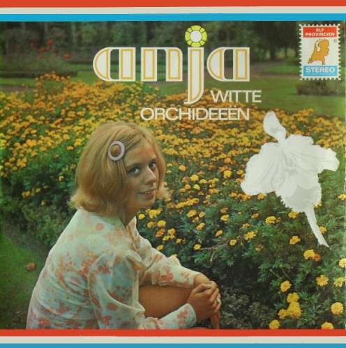 Witte orchideeën