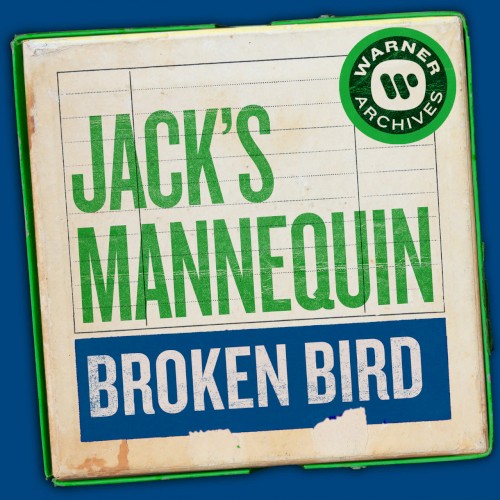 Broken Bird