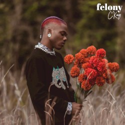 Felony