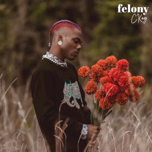Felony