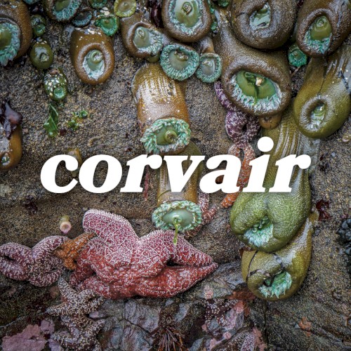 Corvair