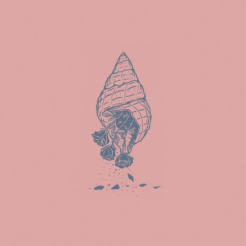 Seashells