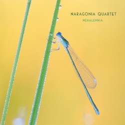 Nehalennia
