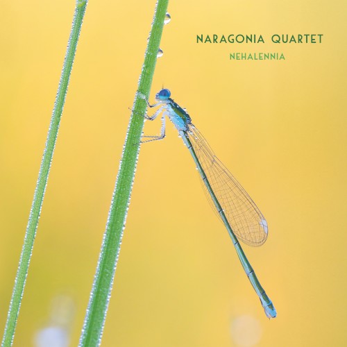 Nehalennia