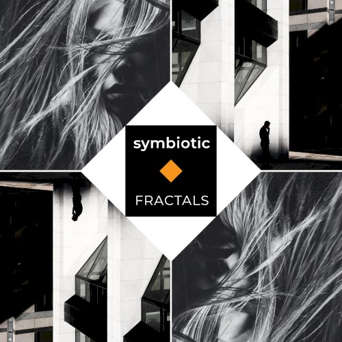 Fractals