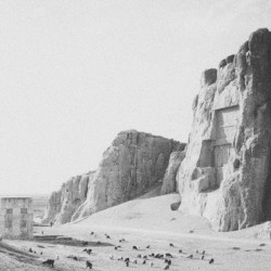 The Cold Foundation