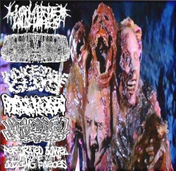 Liquified Insides / Butyric Fermentation Abuse / Indigestible Guts / Hydrocephalus / Wormclogged Blisters / Perforated Bowel Syndrome