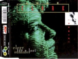 Elegy for a Lost Summer (Remix)